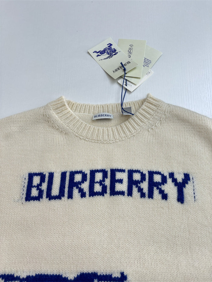 BB Hoodie