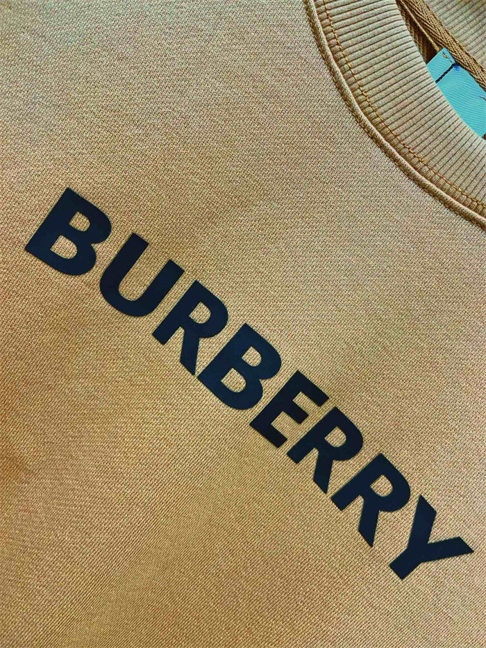 BB Hoodie