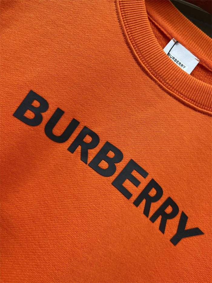 BB Hoodie